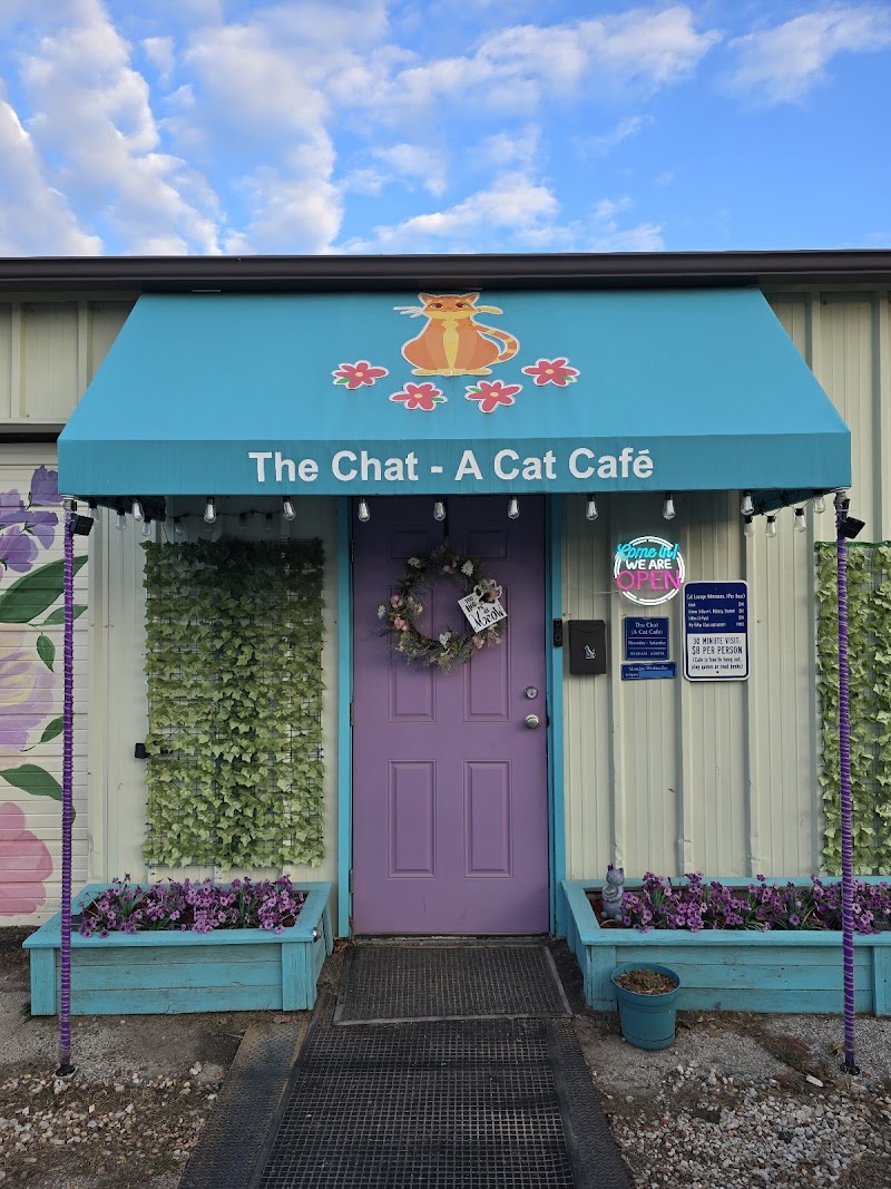 The Chat - A Cat Cafe