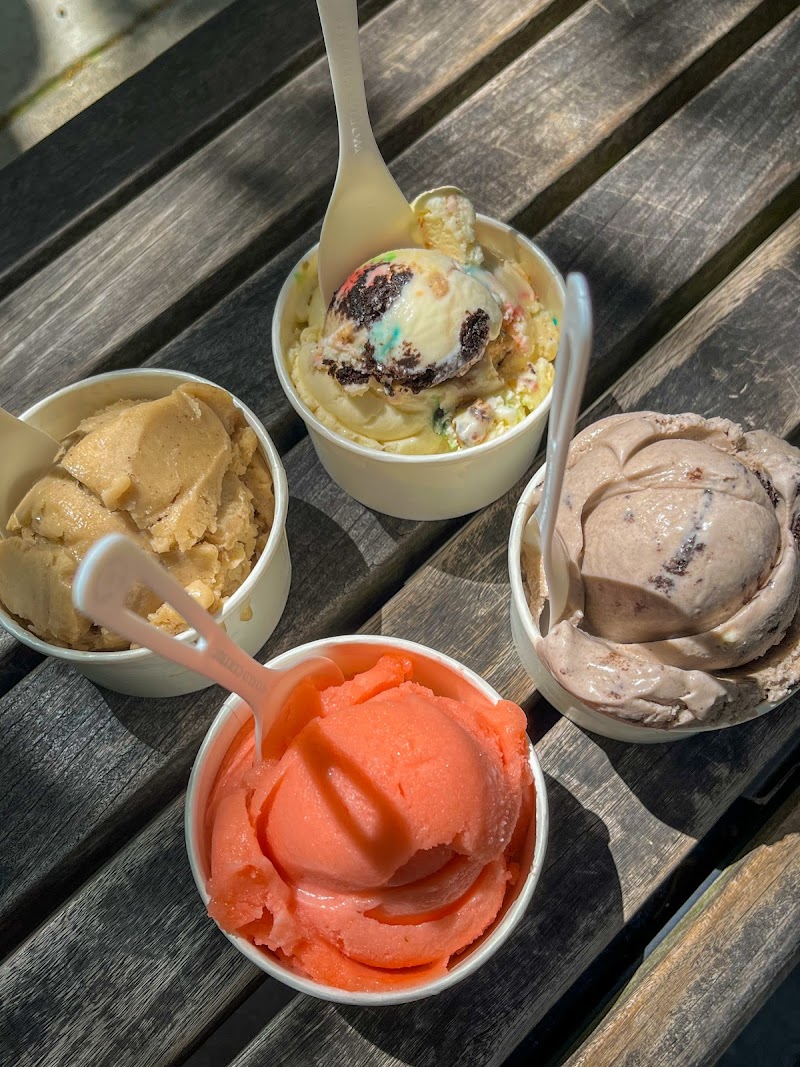 Jamie's Ice Cream Co.