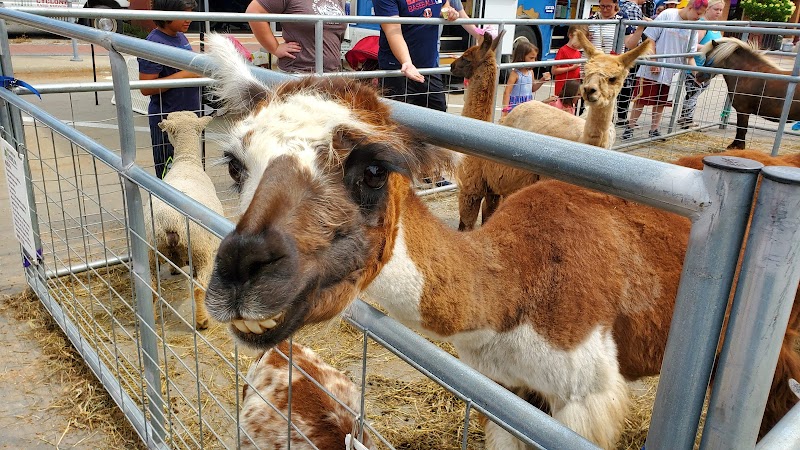 Farmers' Market Main Street