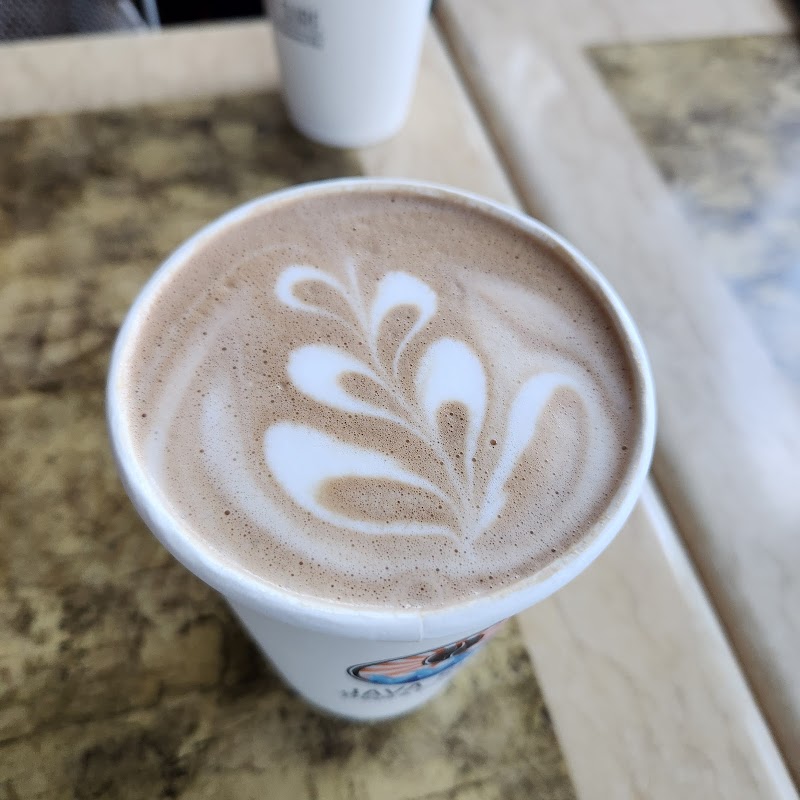 Java Surf Cafe & Espresso Bar