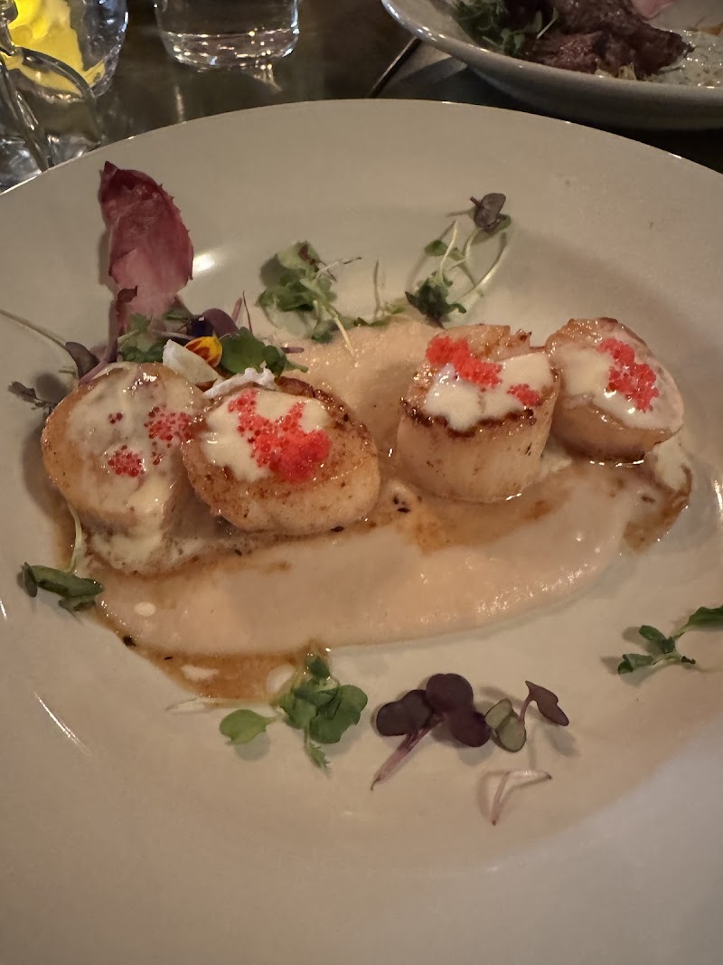 The Georgetown Owl Market & Cafe