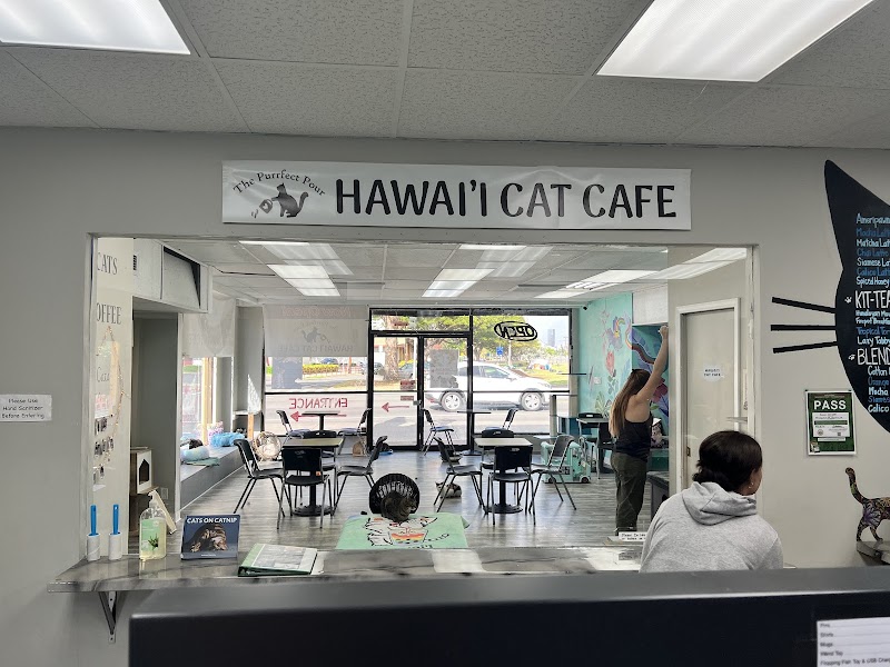 Hawaii Cat Cafe