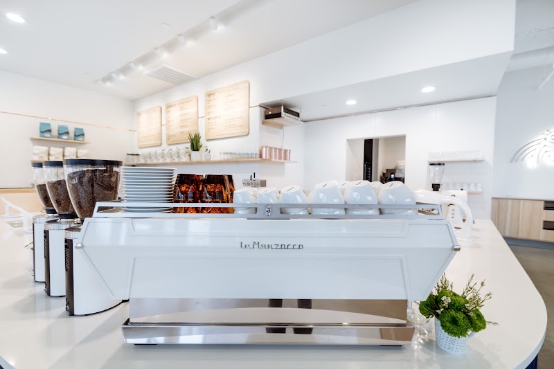 Wonderstate Coffee - Madison Cafe