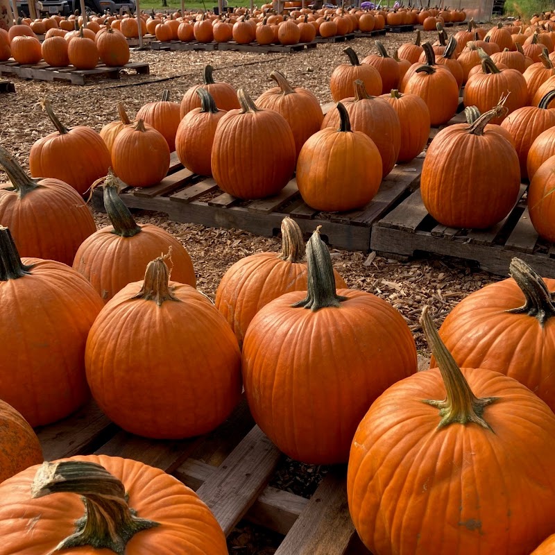 Market & Cafe at Emery Farm