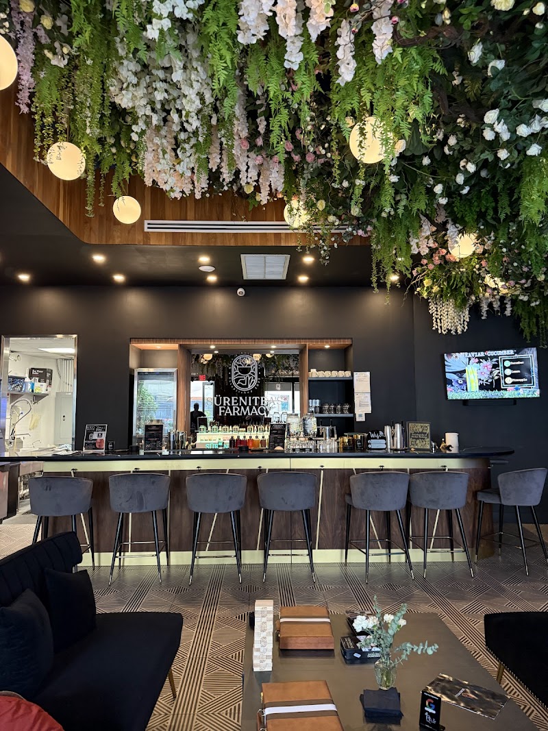 SÜRENITEA Wellness Kava Bar Wynwood