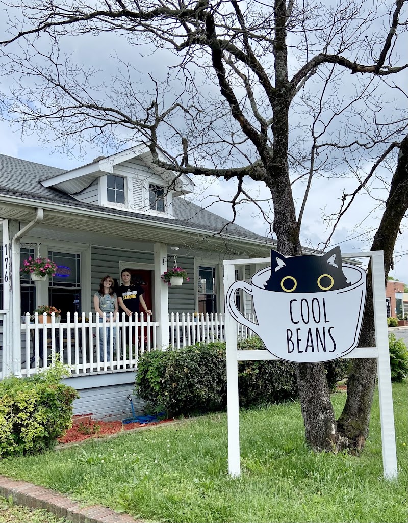 Cool Beans Cat Cafe