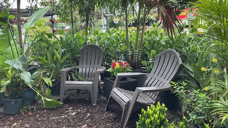 Lucid Beans Coffee - SODO