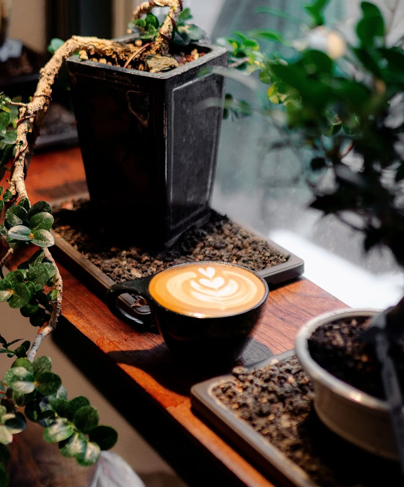 Amsterdam Coffee Bar