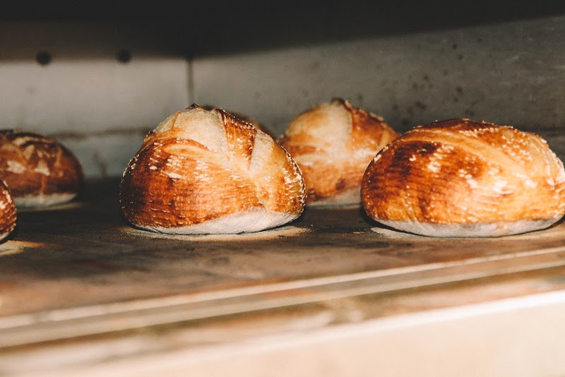 Bodhi Cafe & Bistro / Albany