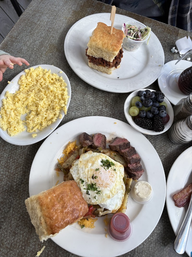 The Bee and The Biscuit