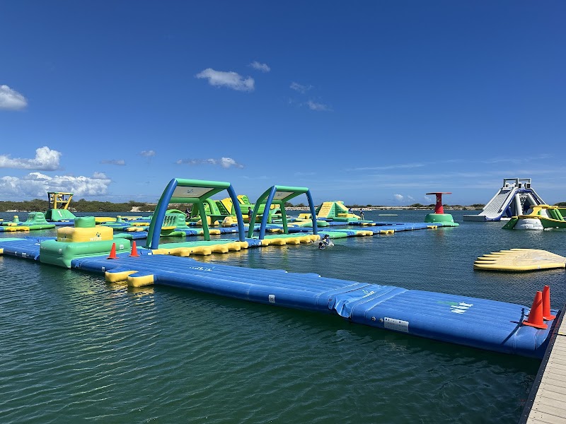 The LineUp at Wai Kai