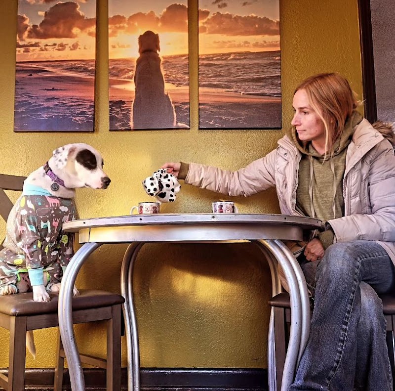 Good Dog Cafe