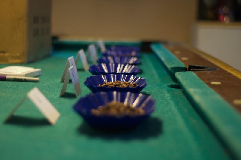 Brewer's Choice Coffee