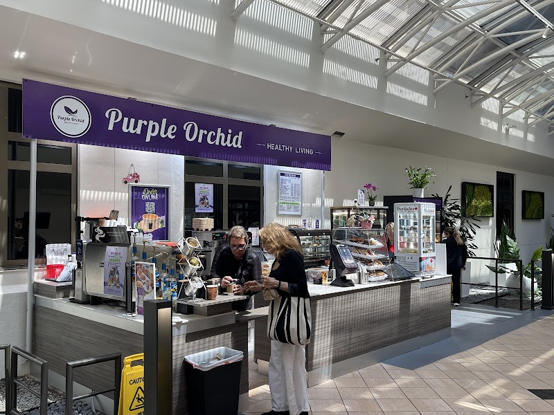 Purple Orchid Baptist Kendall