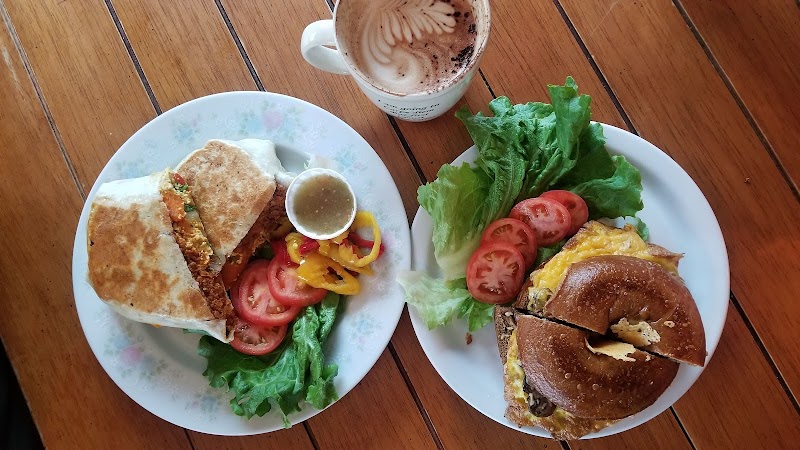 Green Salmon Coffee Company