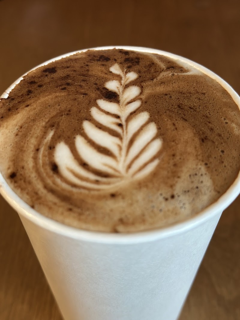 Green Salmon Coffee Company