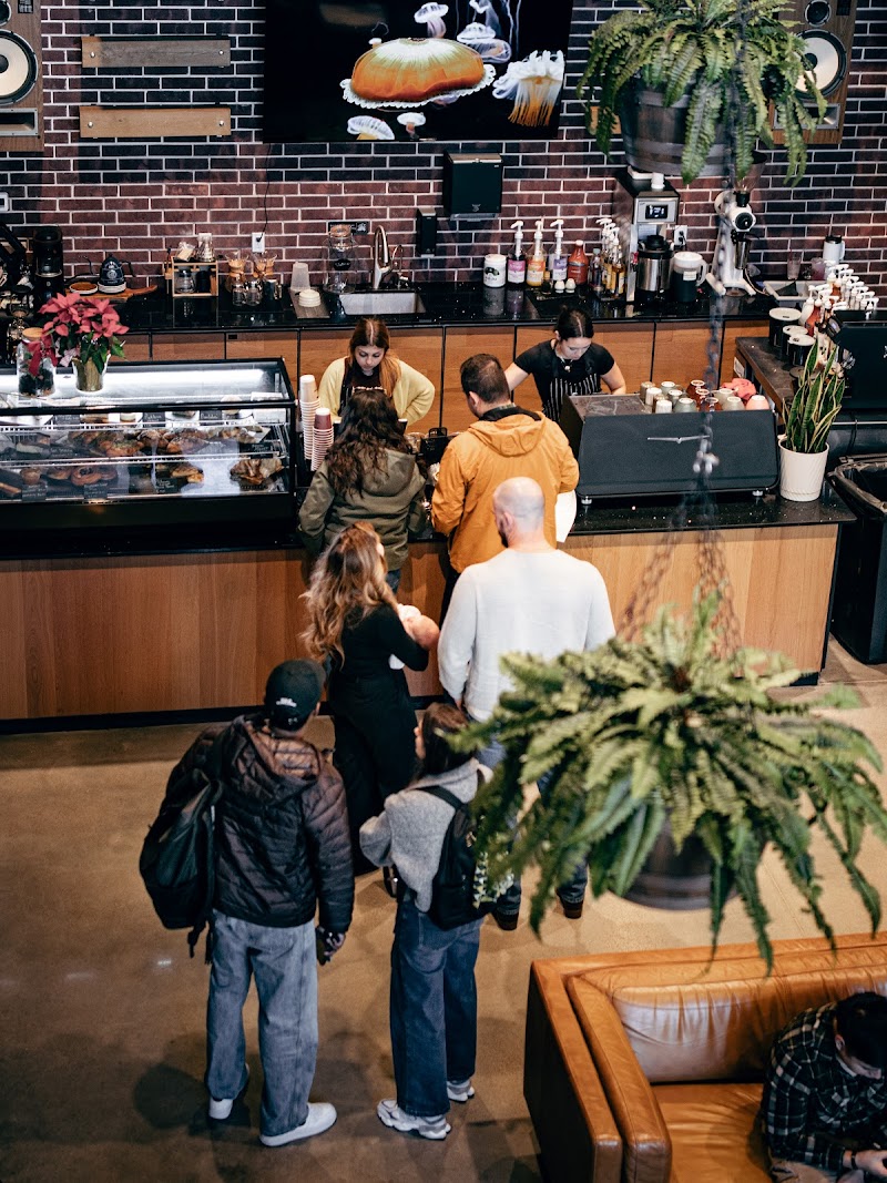 Barbarossa Coffee HQ