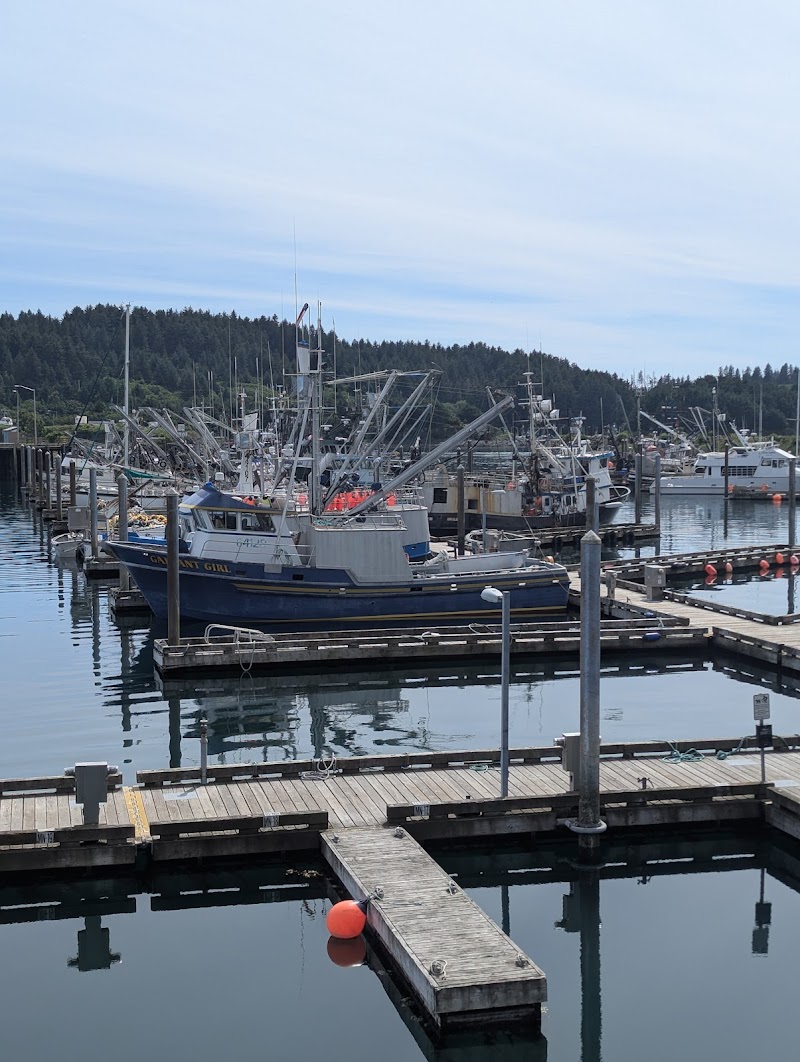 Harborside Coffee & Goods