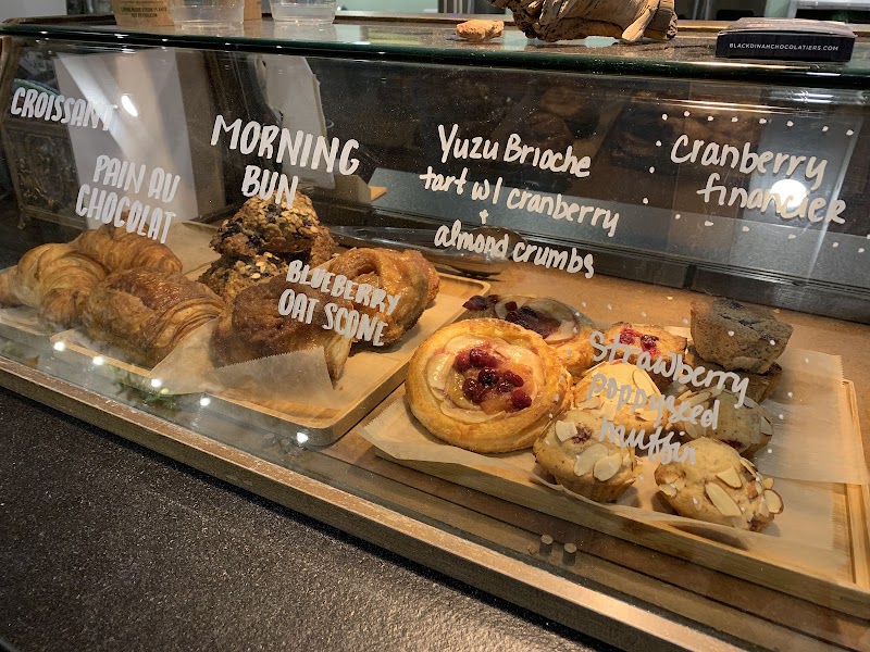 Higher Grounds of Maine