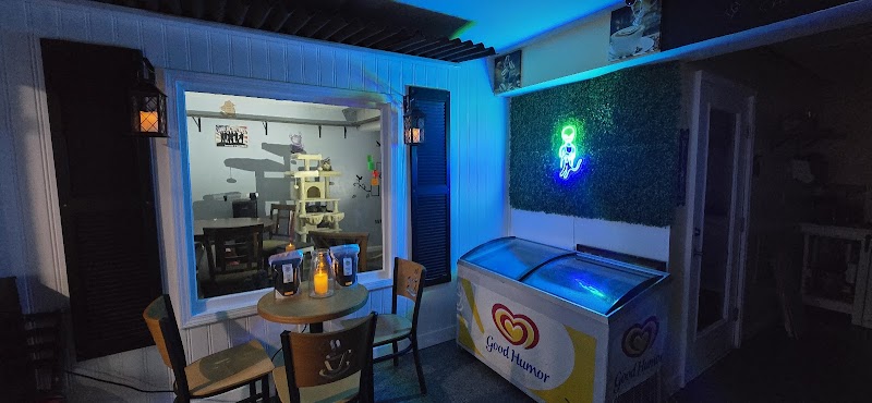 The Farmer's Cat Cafe