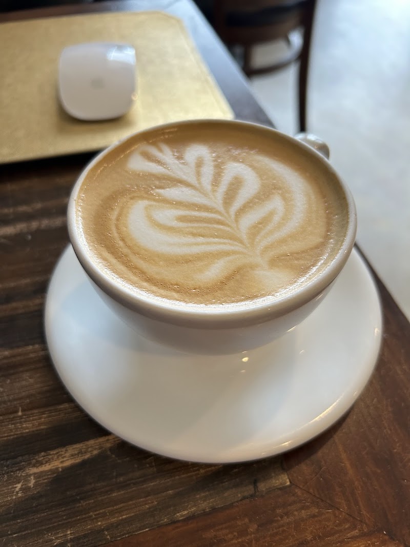 29th Parallel Coffee