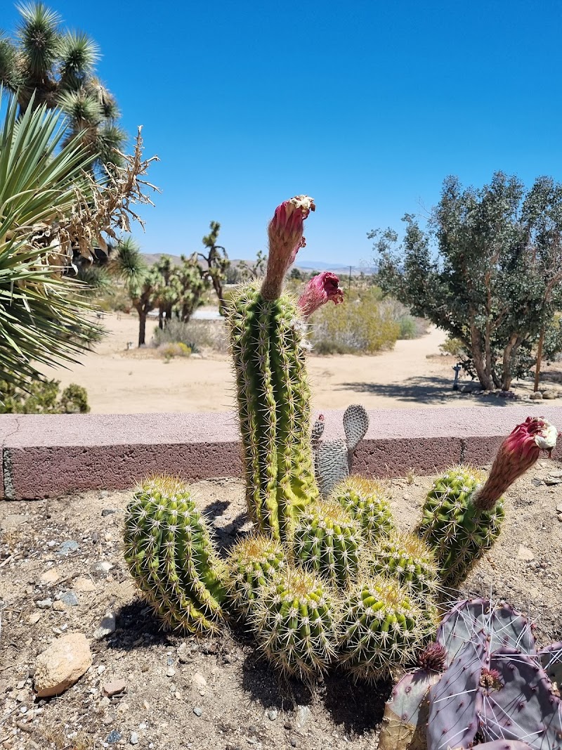 Institute of Mentalphysics aka Joshua Tree Retreat Center