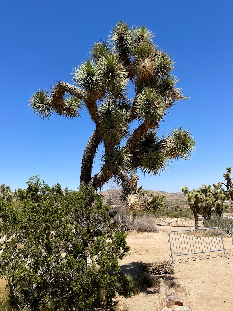 Institute of Mentalphysics aka Joshua Tree Retreat Center