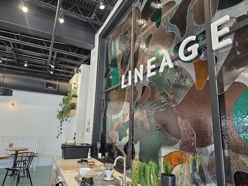 Lineage Coffee