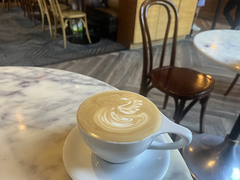 Ascension Coffee - Crescent Court