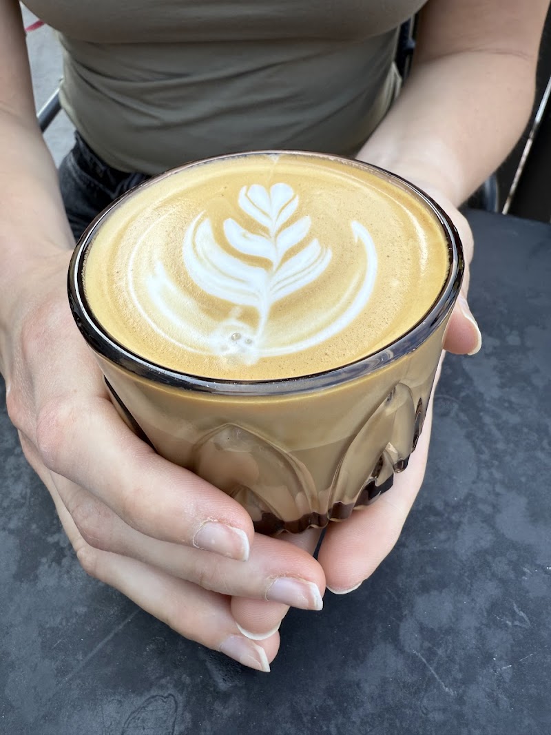 Little Owl Coffee - LoHi