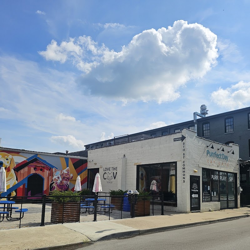 Purrfect Day Cat Café