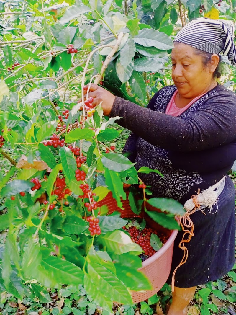 Building New Hope | New Hope Coffee