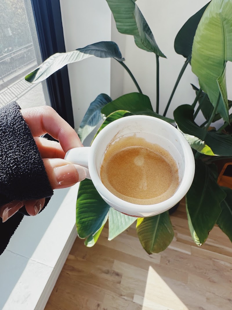 Cafe Aroma- Premium Espresso