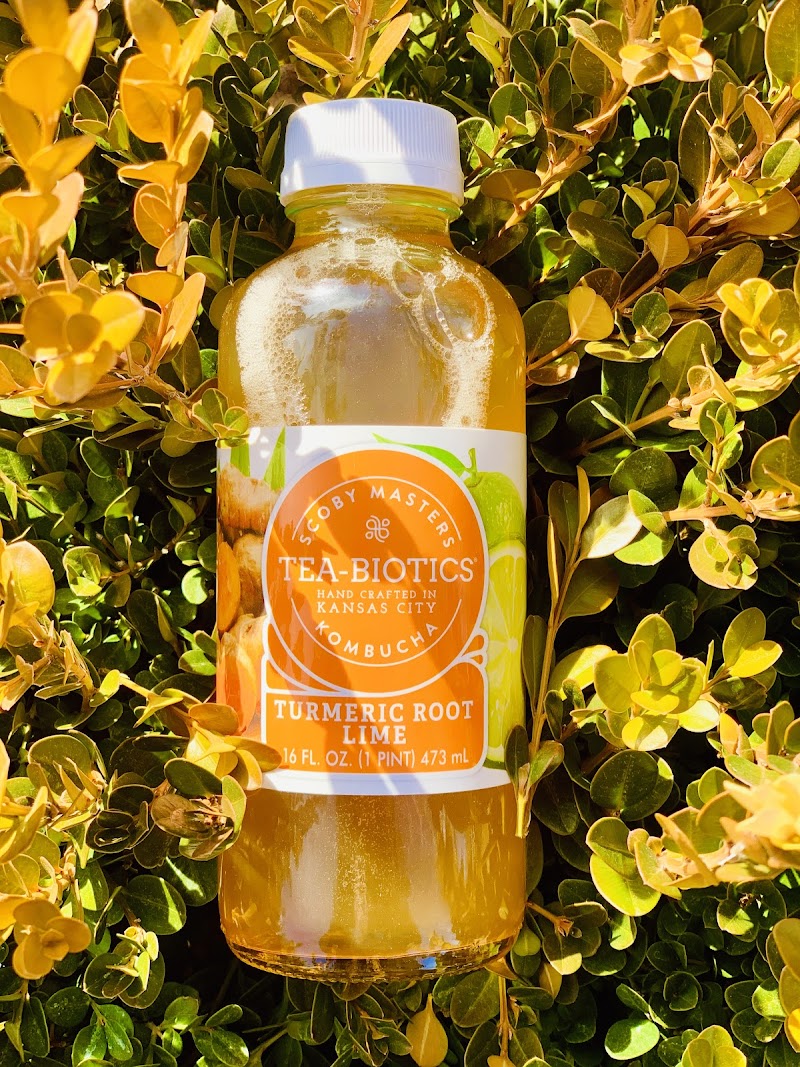 Tea-Biotics Kombucha