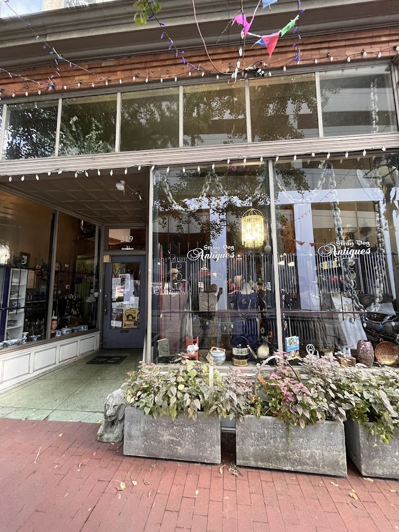 Stray Dog Antiques