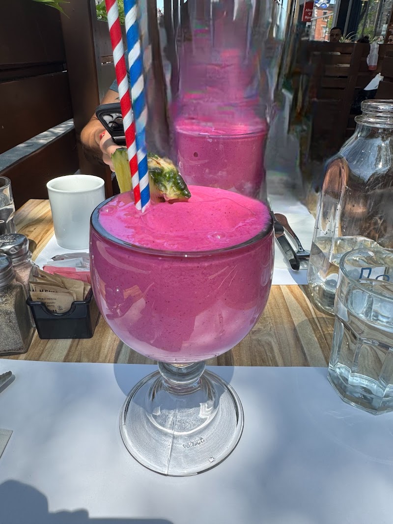 The Roast & Rush Society Coffee and Kava Bar