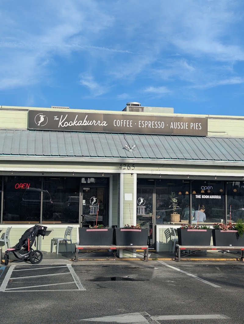 The Kookaburra Dondi