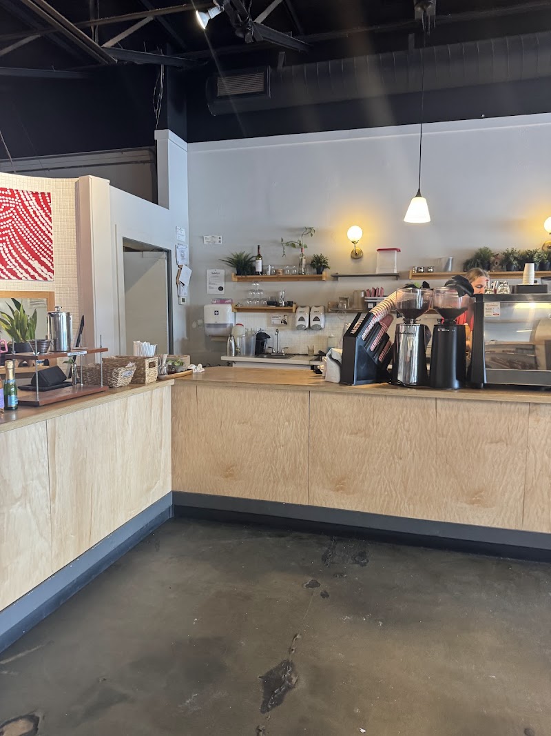 The Kookaburra Dondi