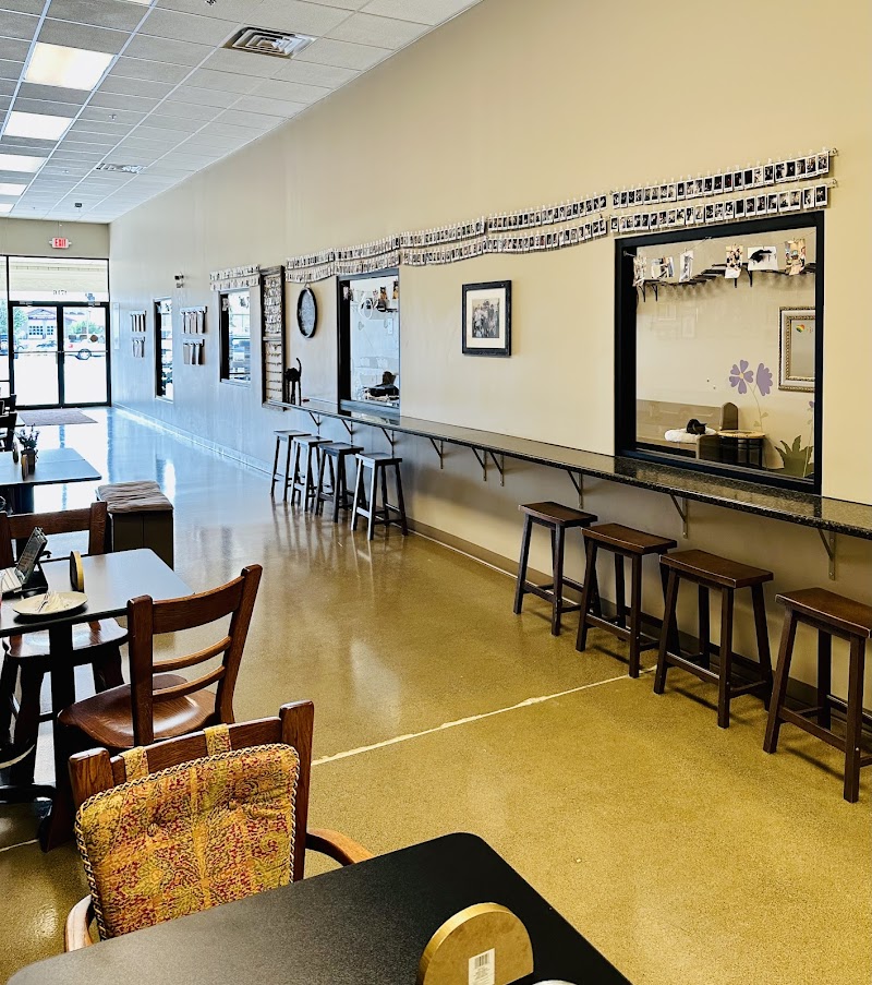 Black Forest Cat Café