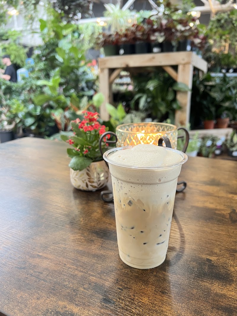 The Hive Bar Pawtucket, RI