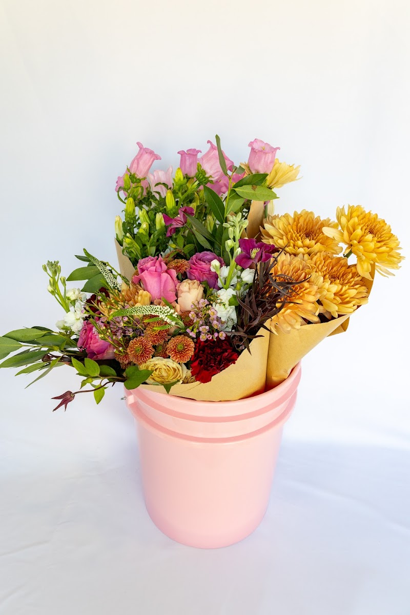 Jasmine Jo Coffee & Rowan Tree Flowers