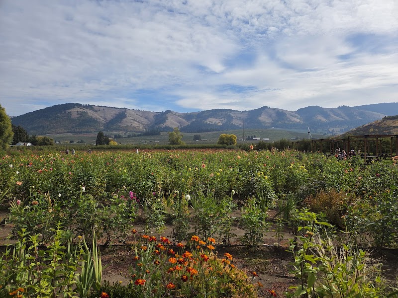 The Gorge White House